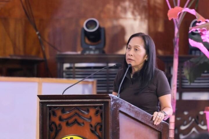 Energy Chief Sharon Garin Warns Visayas Grid Alerts Could Run Until 2028