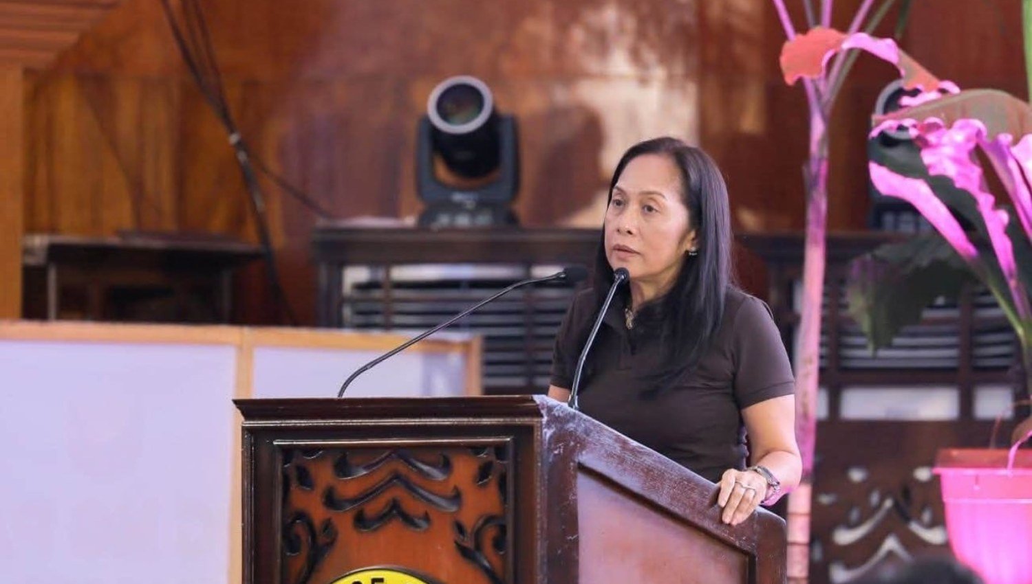 Energy Chief Sharon Garin Warns Visayas Grid Alerts Could Run Until 2028